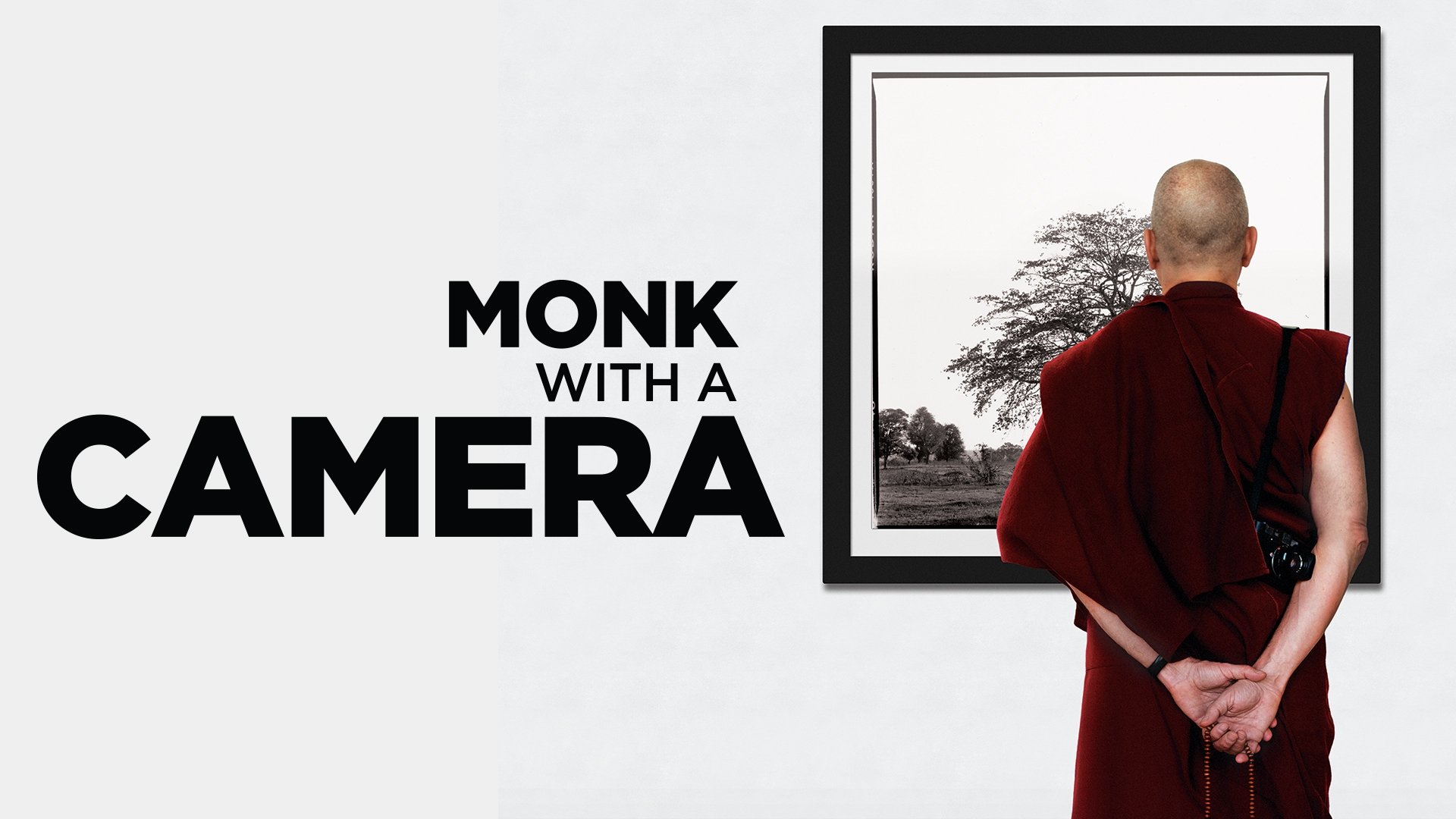 Monk with a Camera (2014)