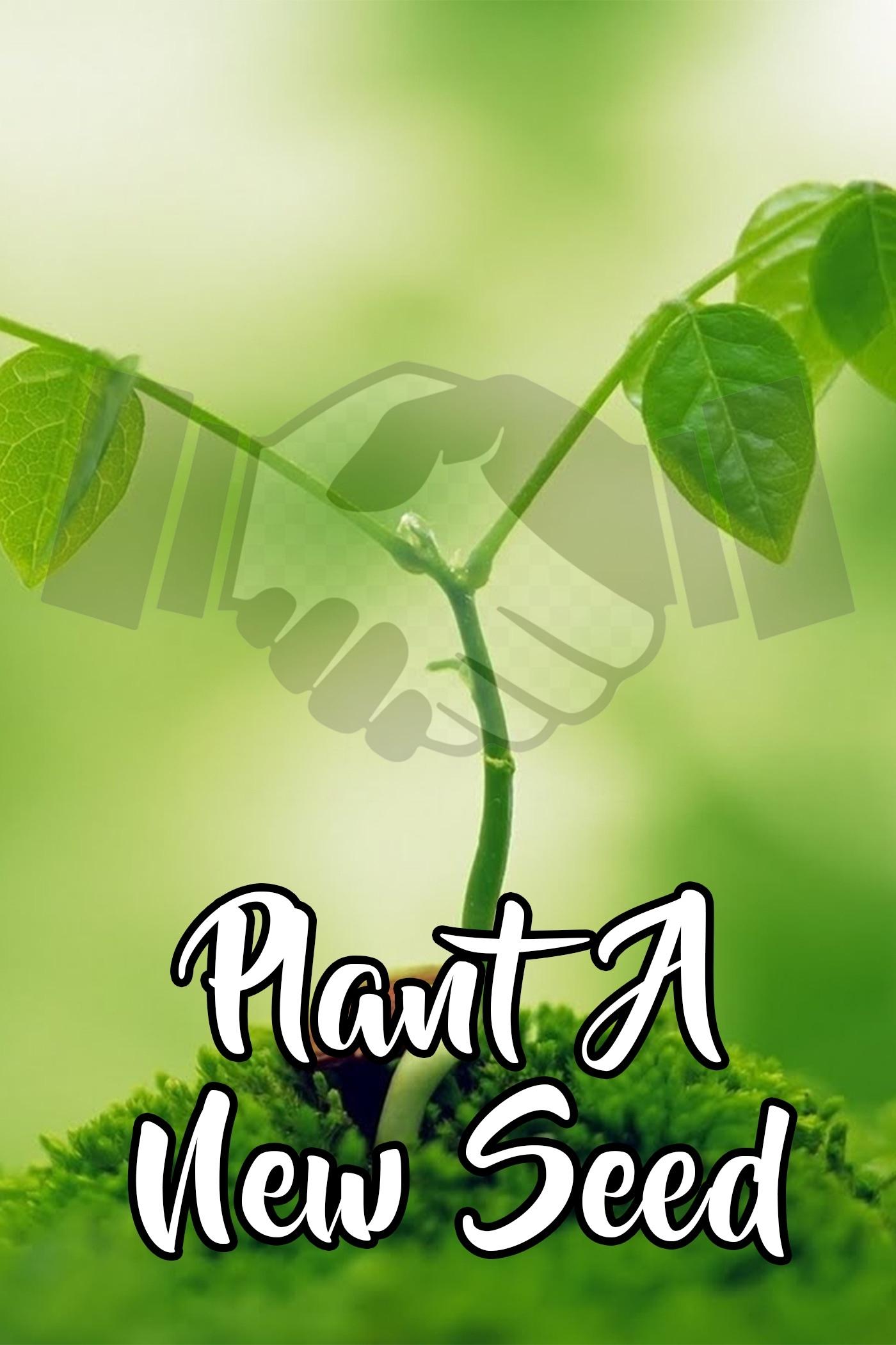 Plant A New Seed on FREECABLE TV