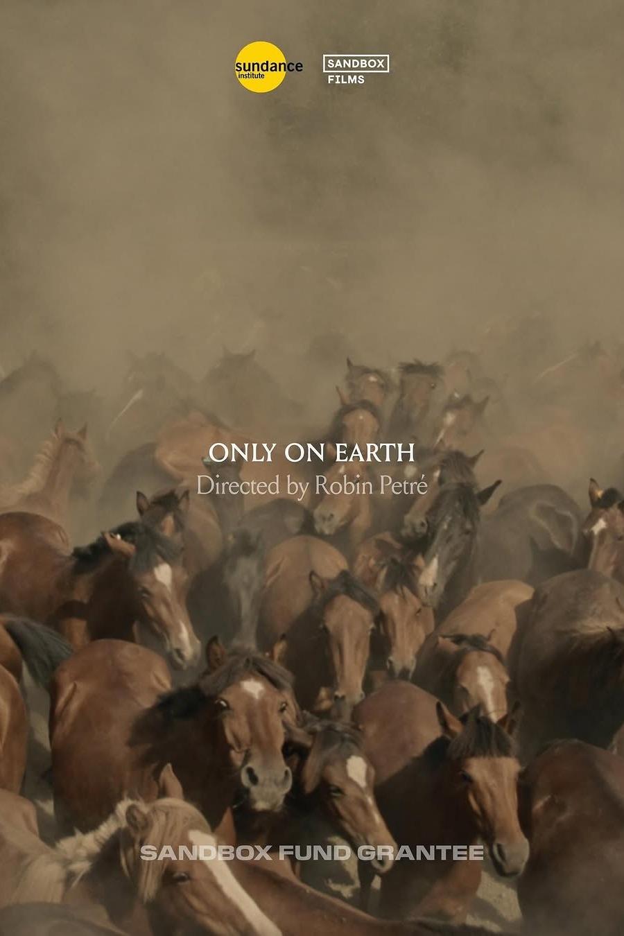 Movie Title