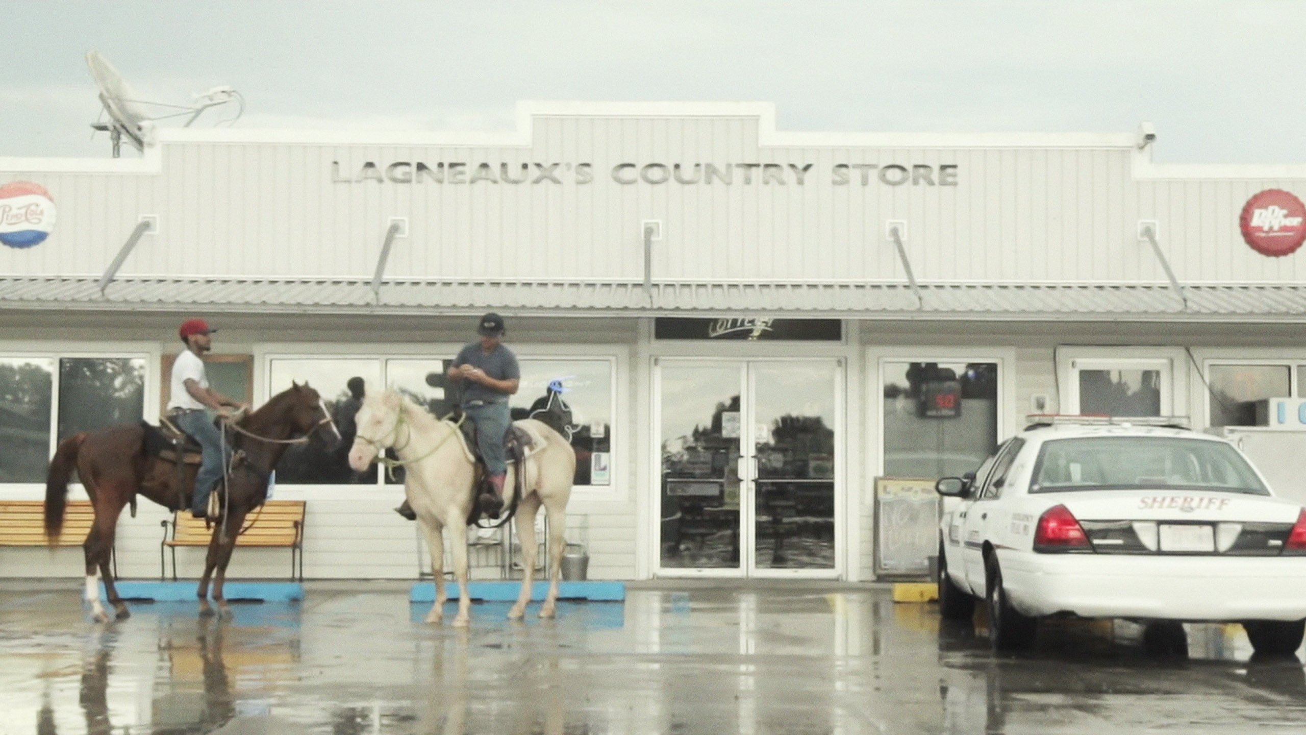 The Roper (2013)