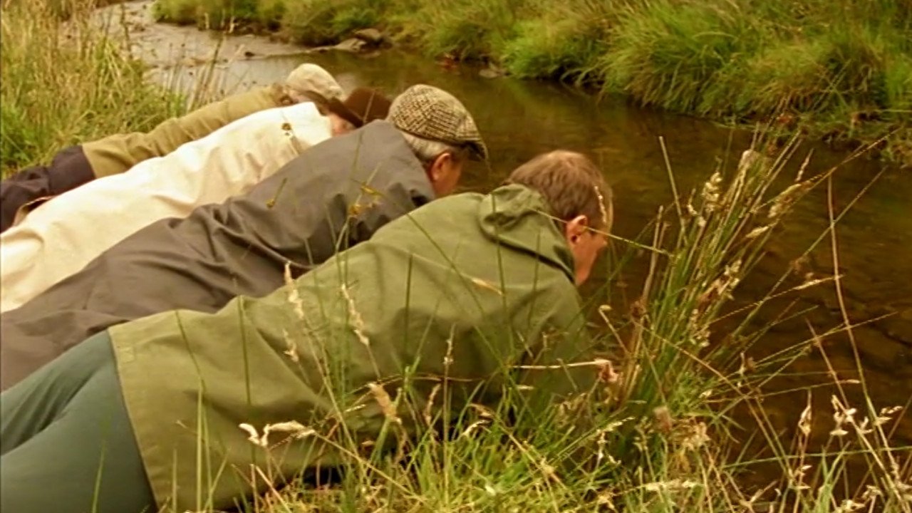 Last of the Summer Wine