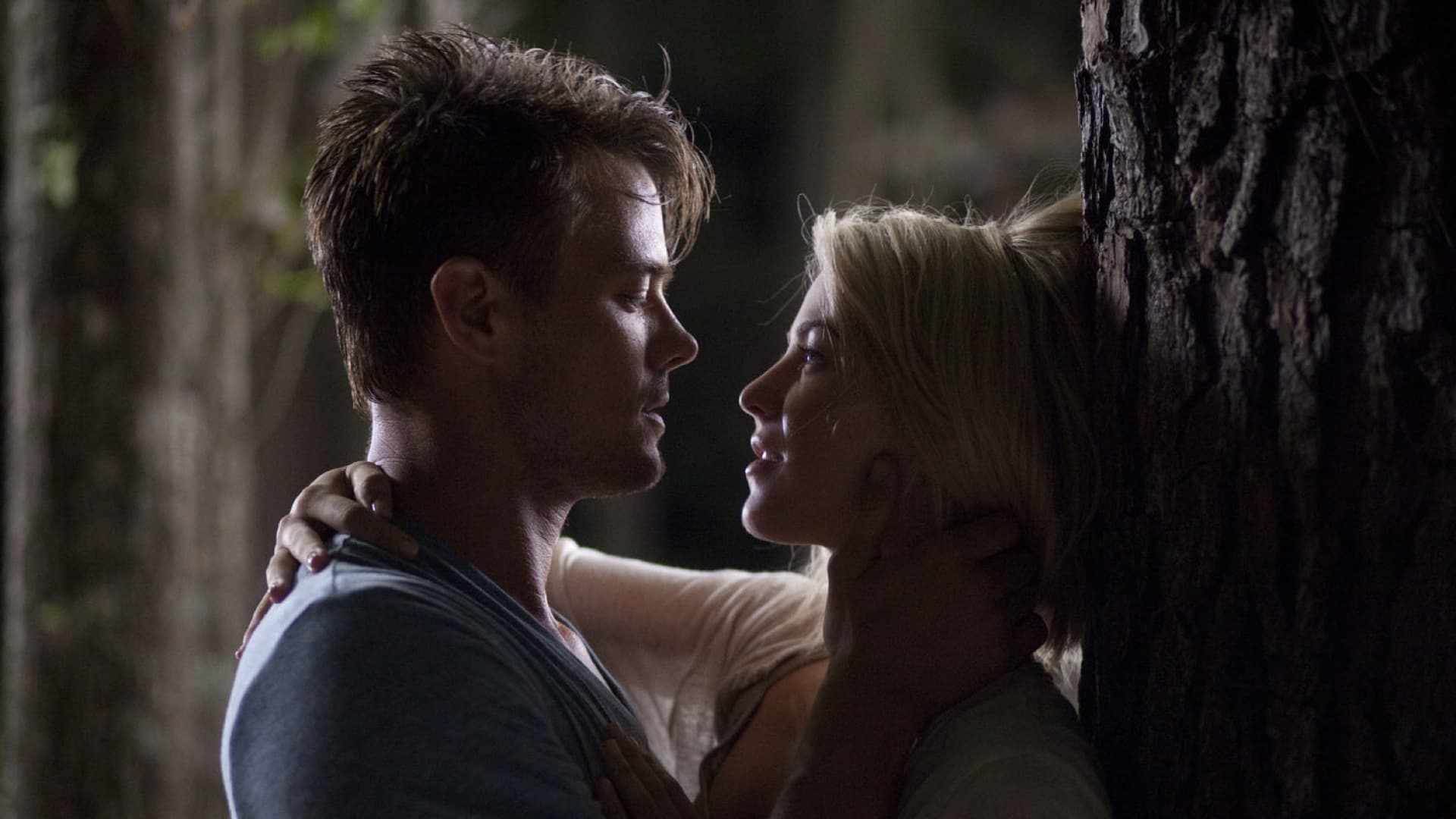 Safe Haven (2013)