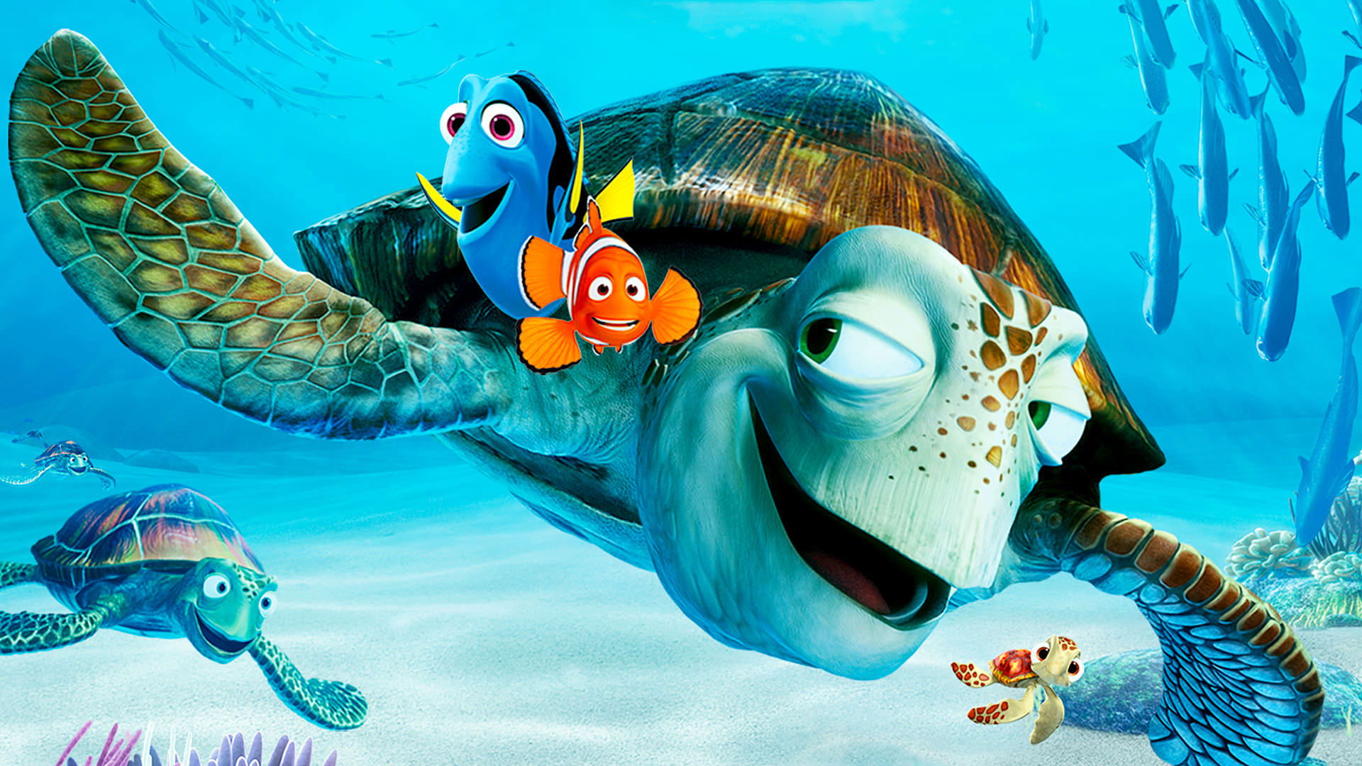 Image du film Le Monde de Nemo revz0xp0h48oj2azqt5dd2q6akrjpg