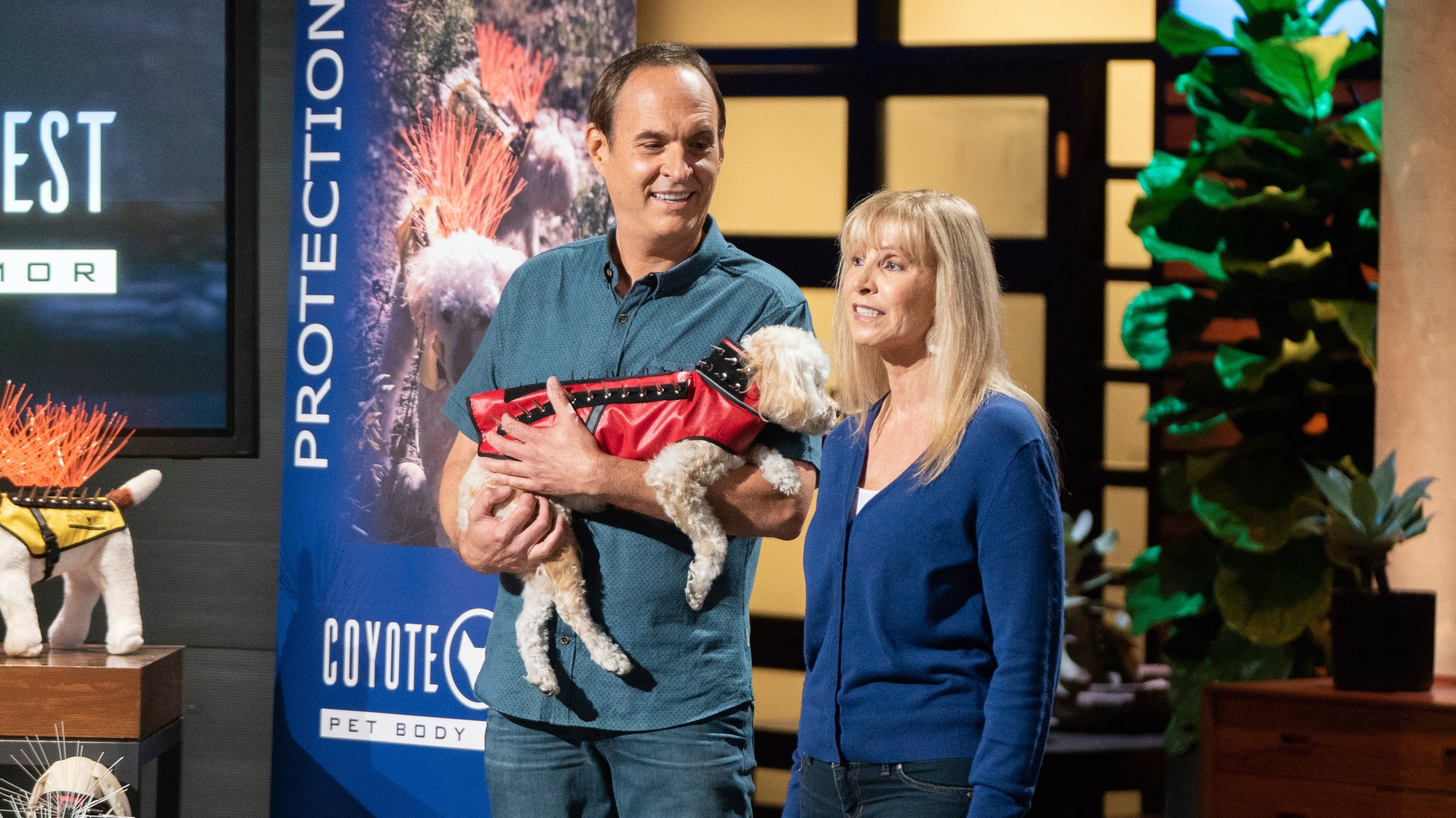 Shark Tank 10x23