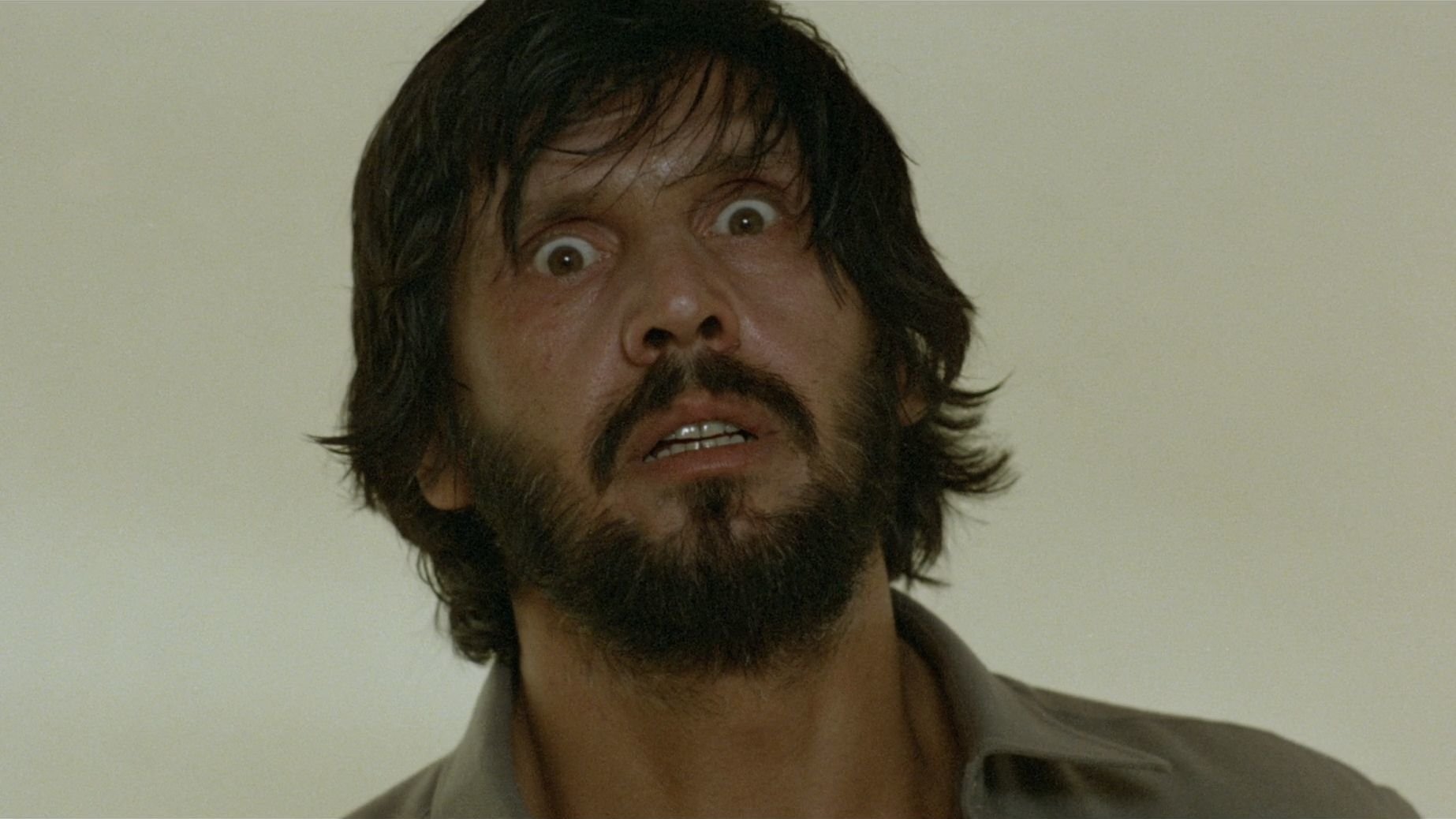 Absurd (1981)