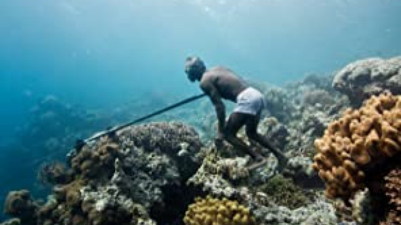 Hunters of the South Seas
