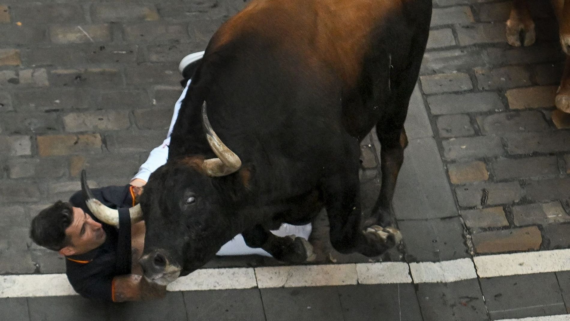 Vive San Fermín 2025x4