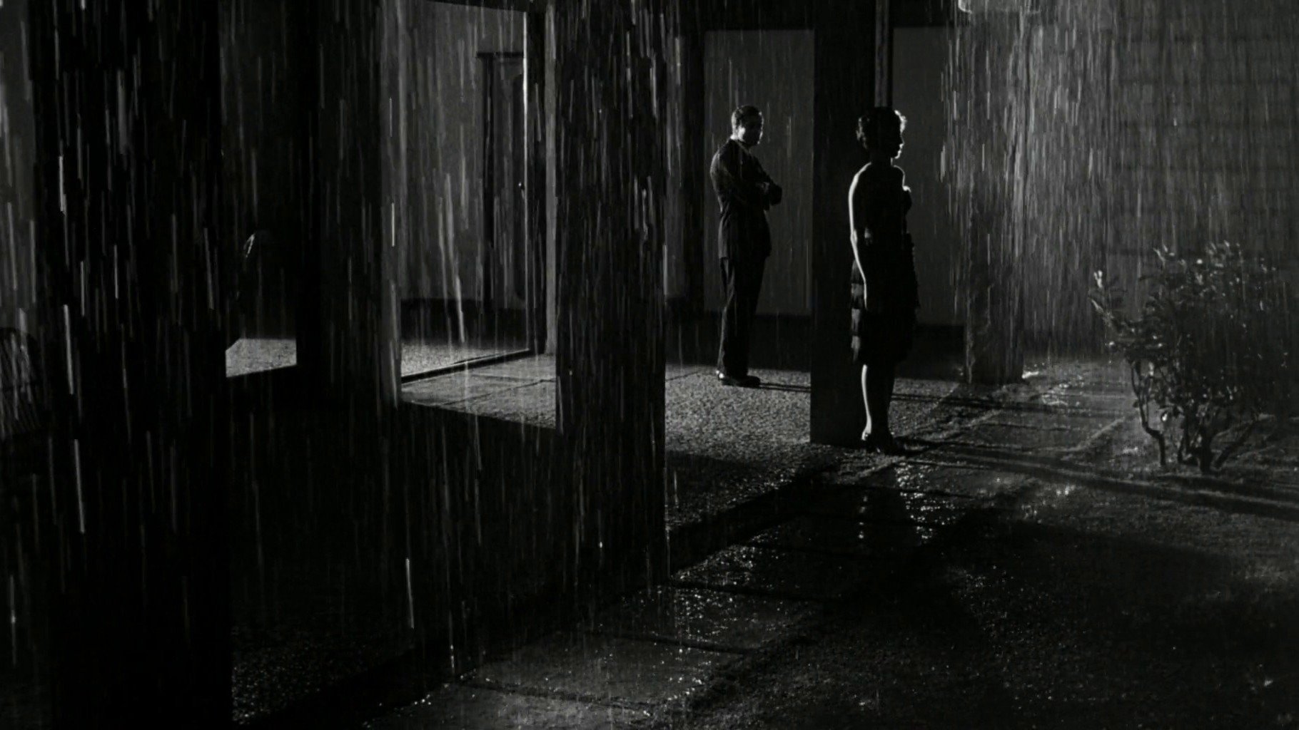 La Notte