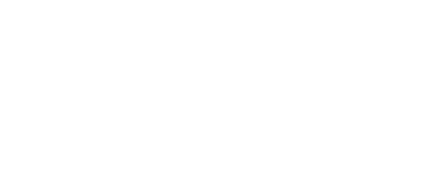Freedom Fighters: The Ray