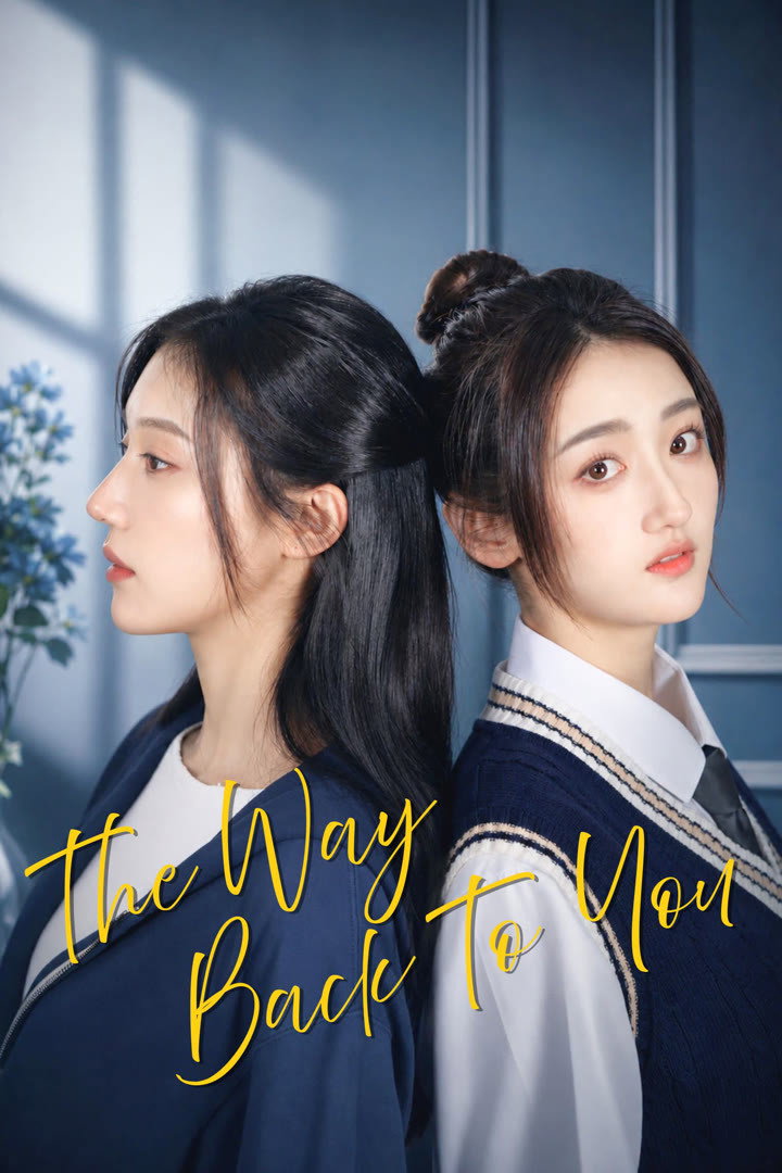 poster tv The Way Back to You