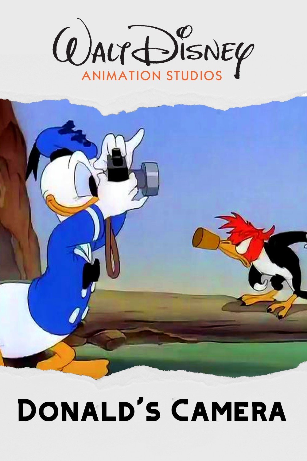 Donald's Camera
