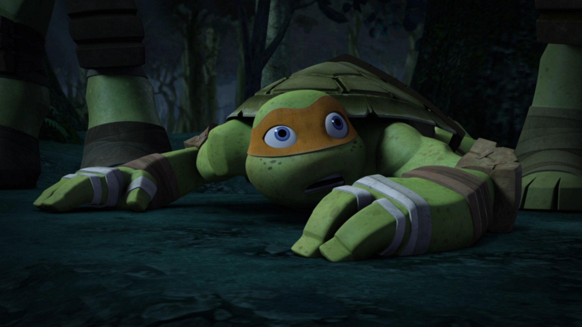 Teenage Mutant Ninja Turtles
