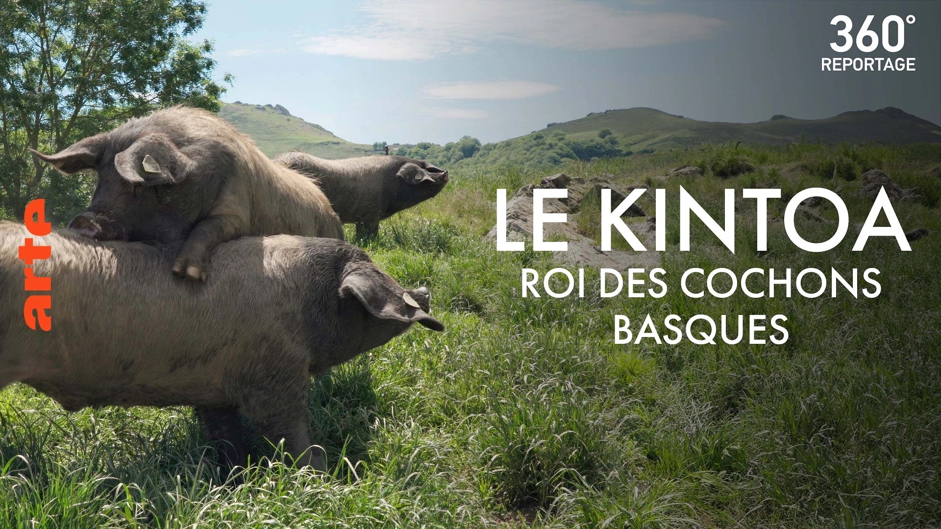 360° - Die GEO Reportage
