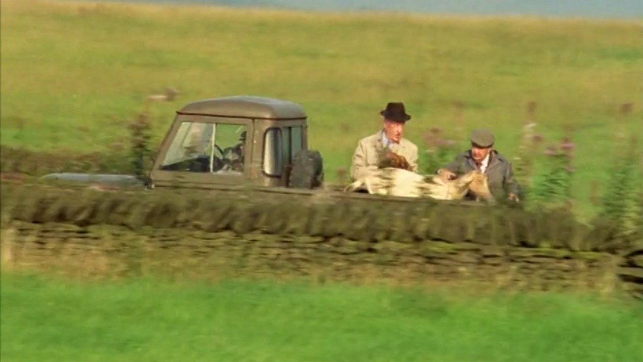 Last of the Summer Wine