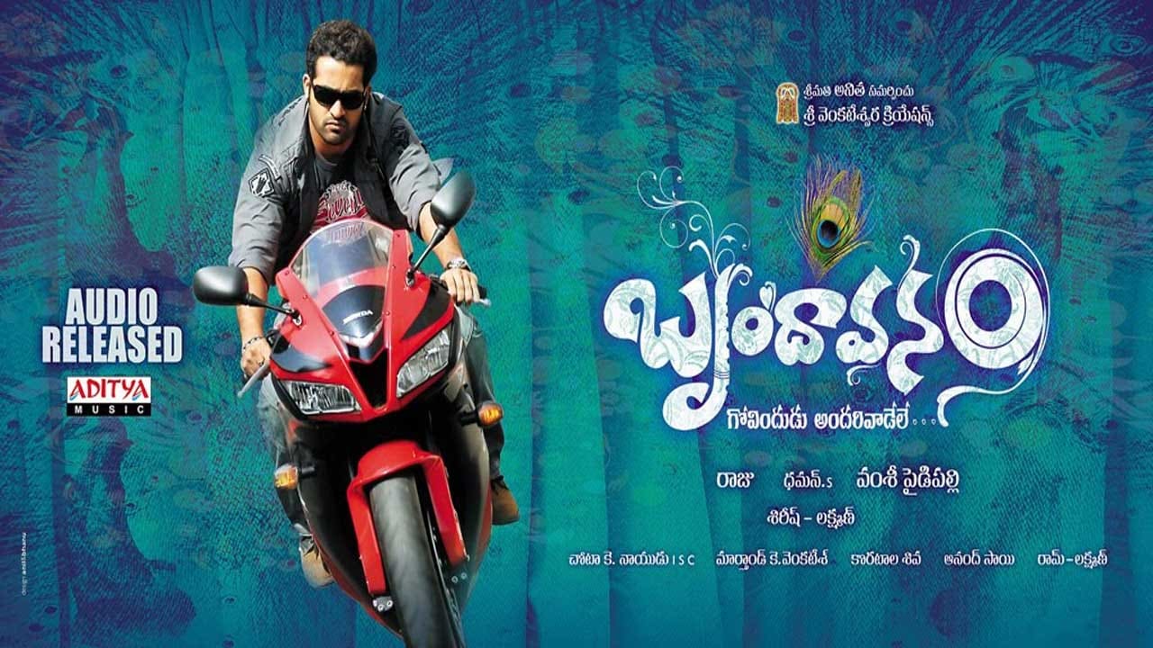 Brindavanam (2010)