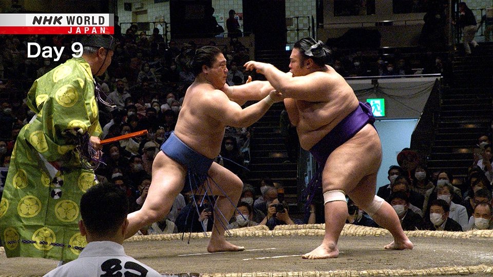 GRAND SUMO Highlights Season 11 :Episode 9  Day 9