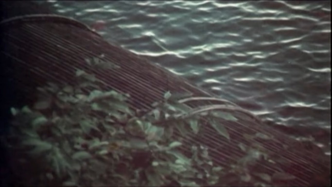 The Girl on the River