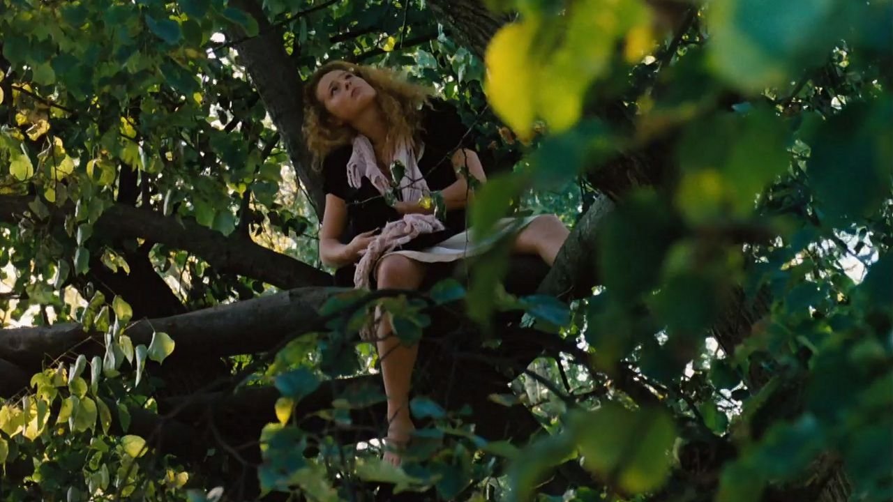Sitting on a Branch, Enjoying Myself