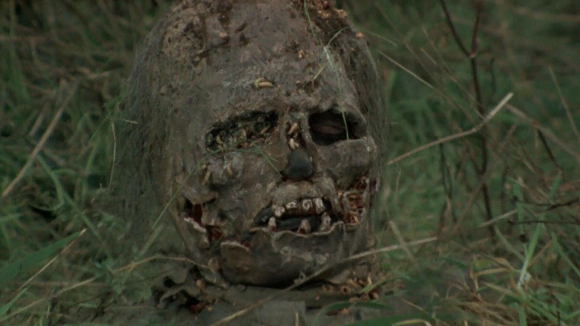Burial Ground (1981)