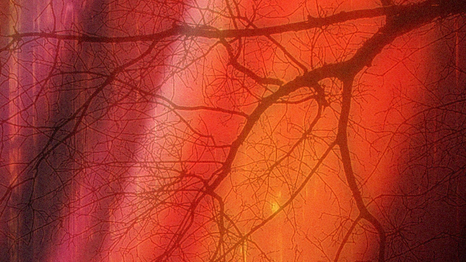 Dark Forest (2015)