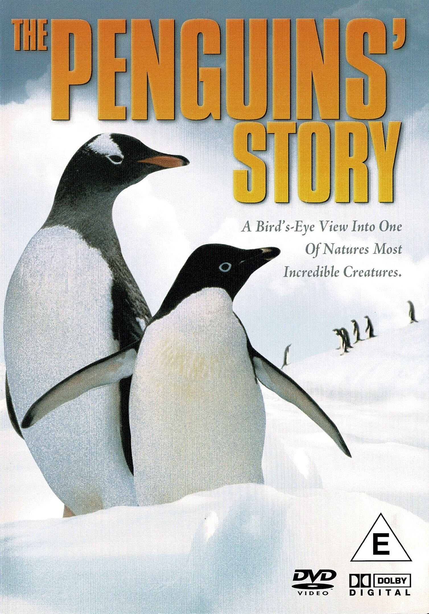 Content cover
