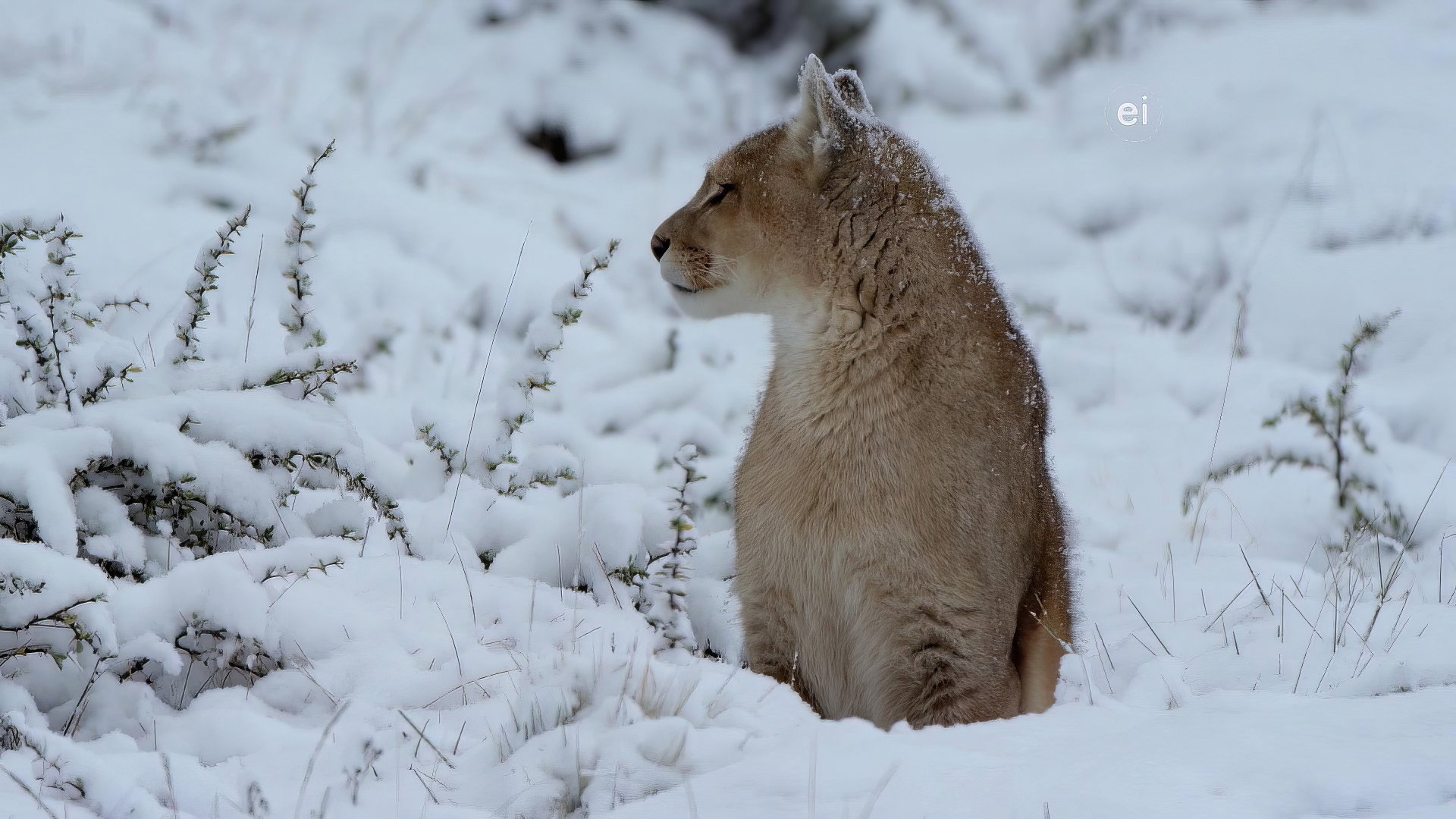 Earth Odyssey with Dylan Dreyer S04E12 backdrop