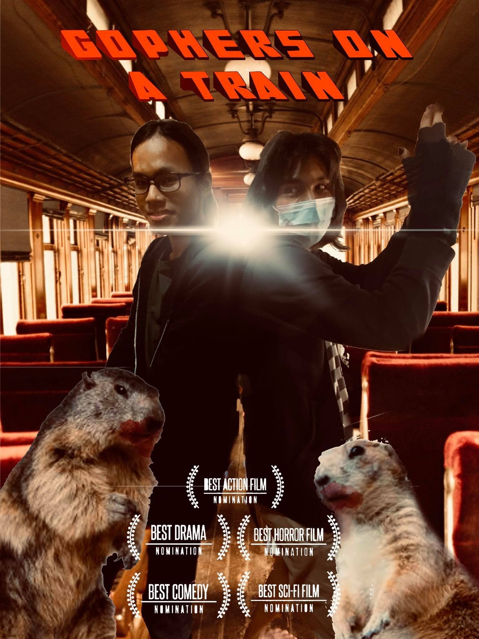 poster movie Gophers on a Train