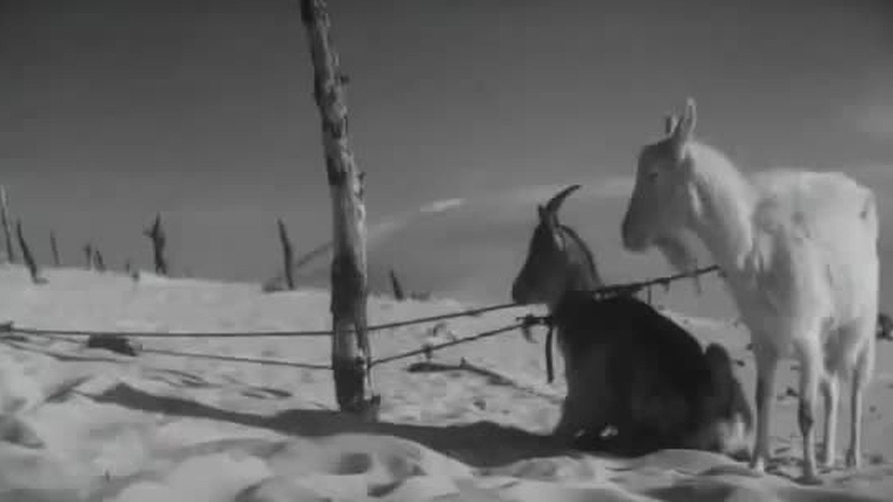 When Angels Fall (1959)