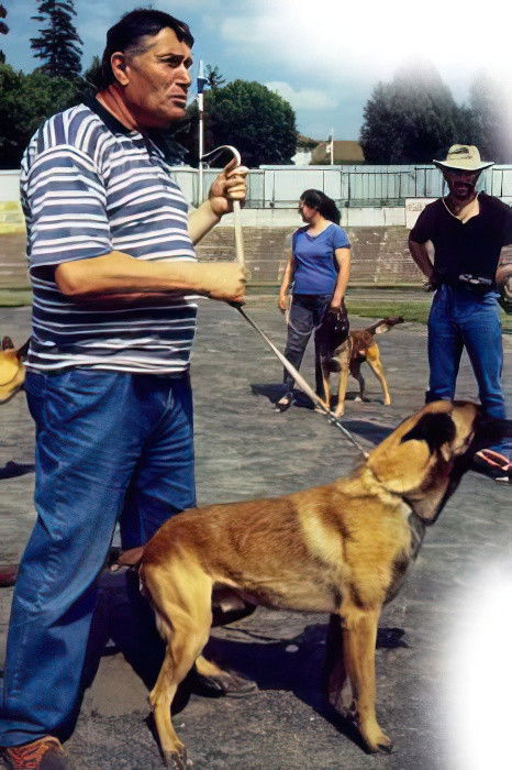 et billede af André Noël