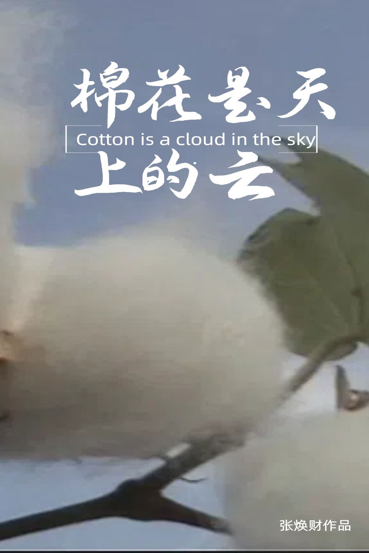 Cotton is the Clouds in the Sky