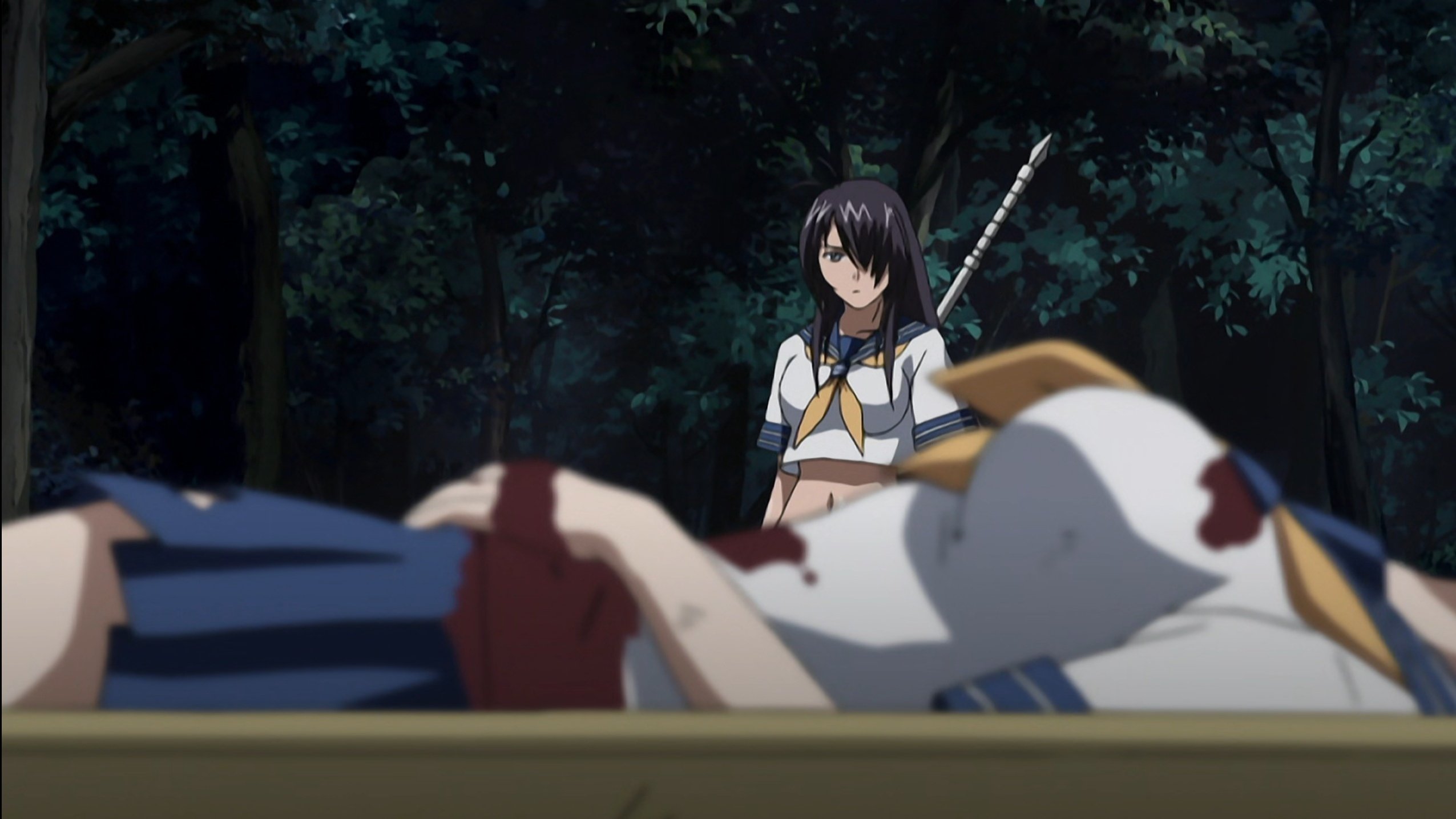 Ikki Tousen