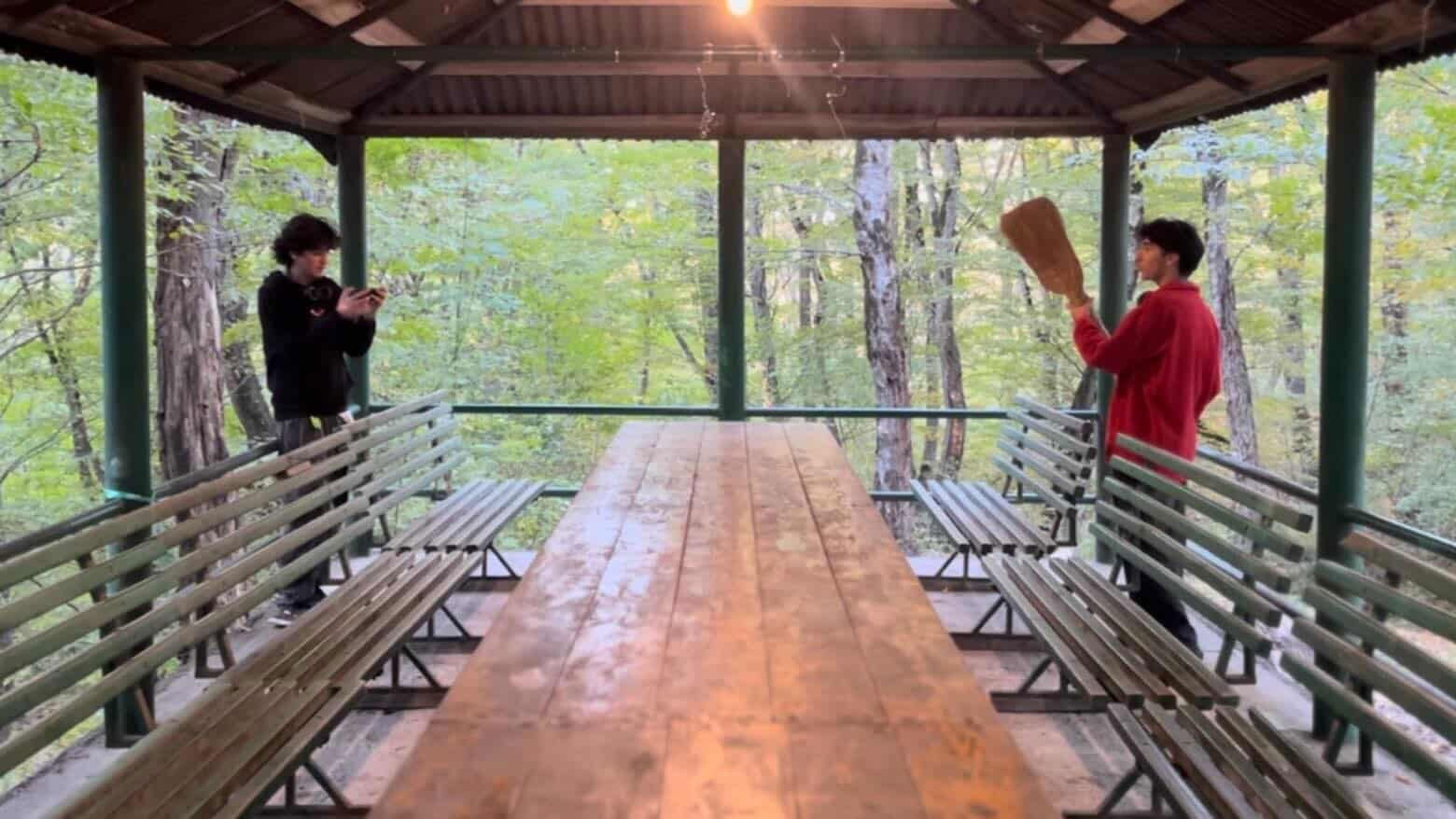 The Kaxeti Broom Massacre