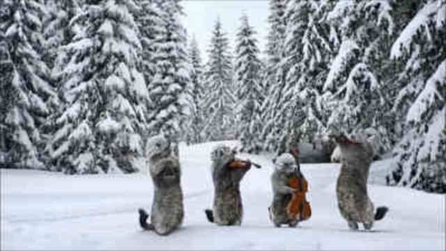 Les Marmottes - Hiver (4)