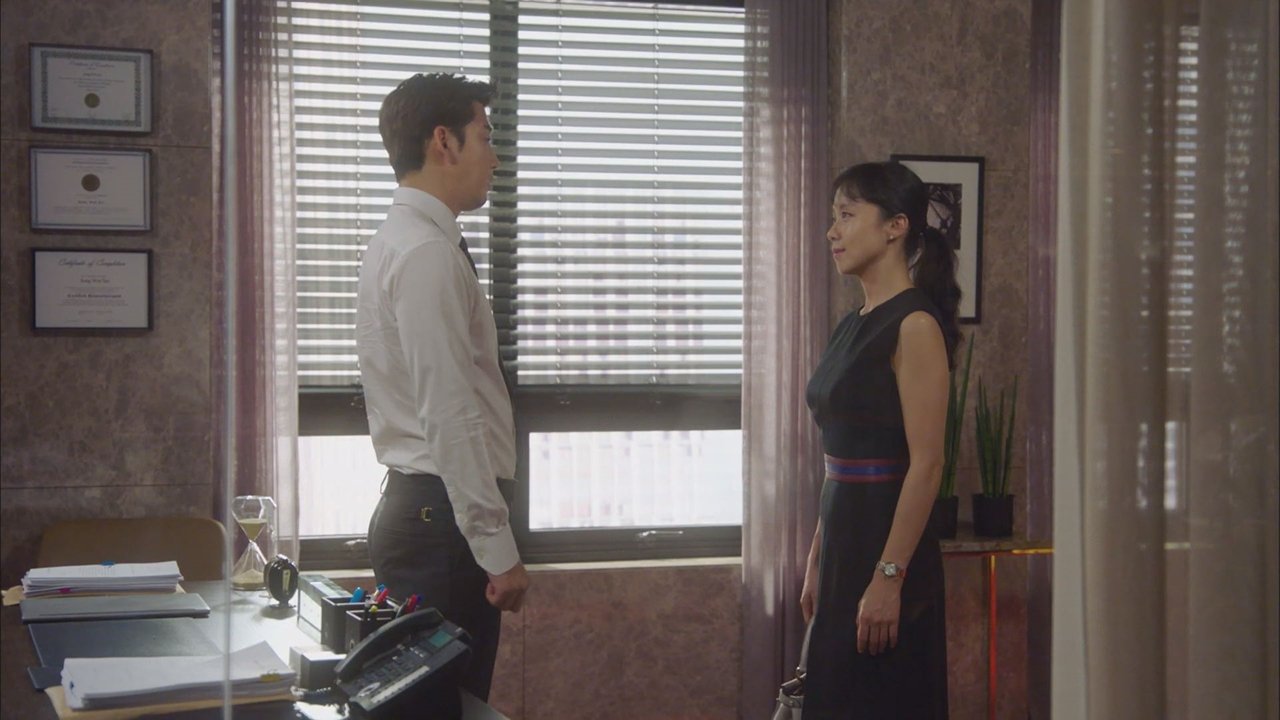 The Good Wife