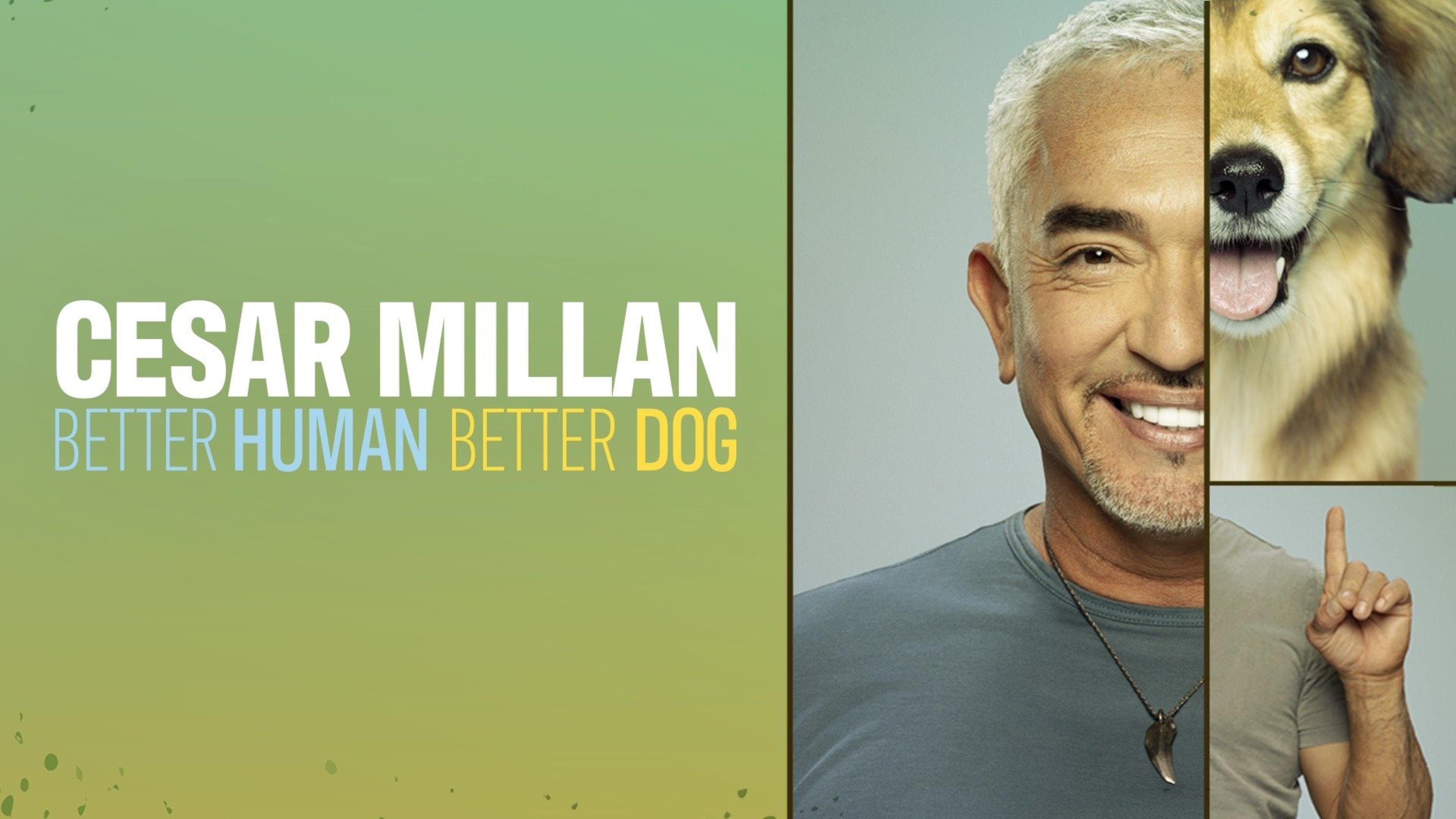 Cesar Millan: Better Human, Better Dog