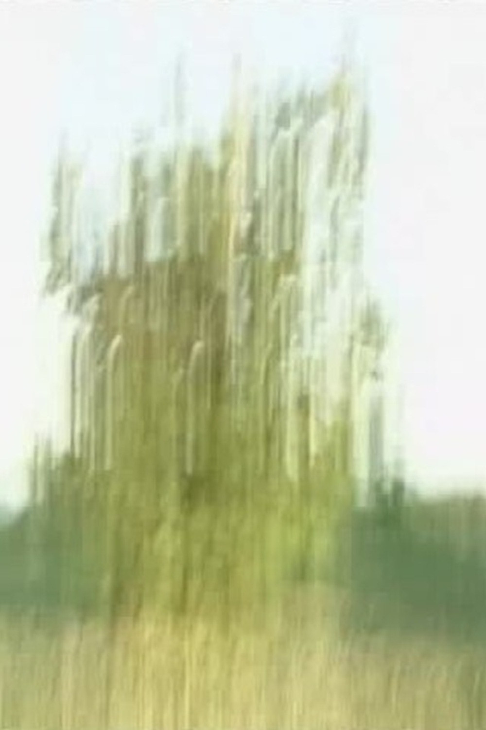 Tree Poster