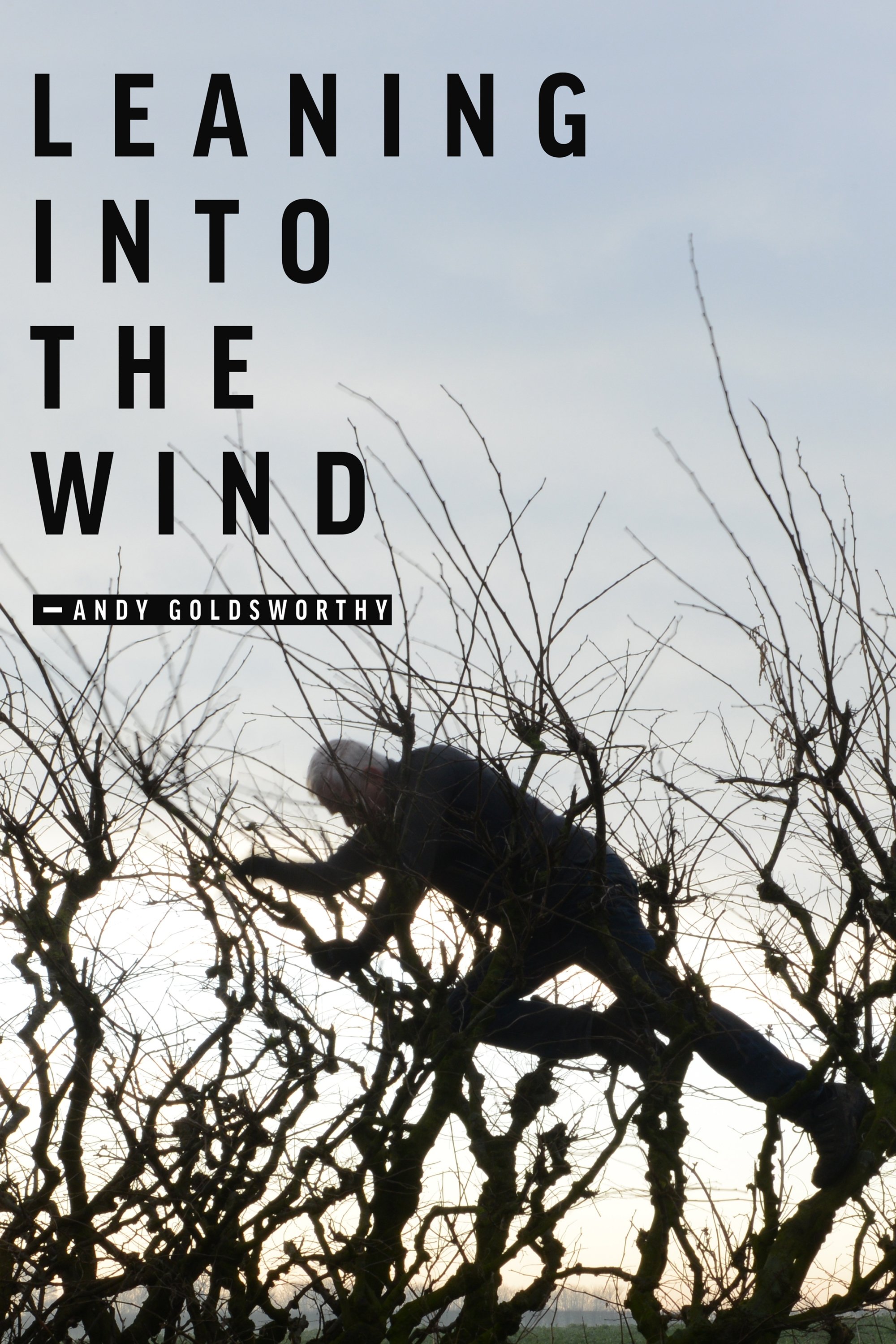 Leaning Into the Wind: Andy Goldsworthy