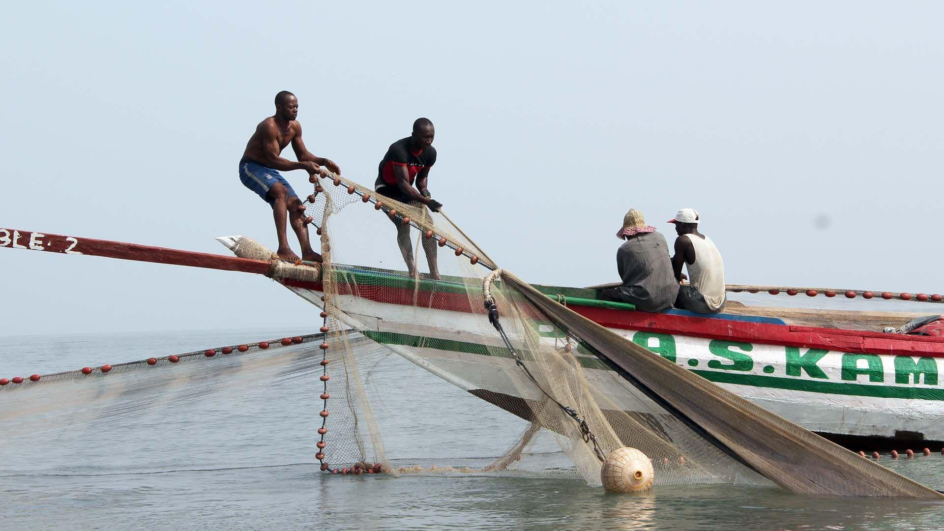 The New Boats