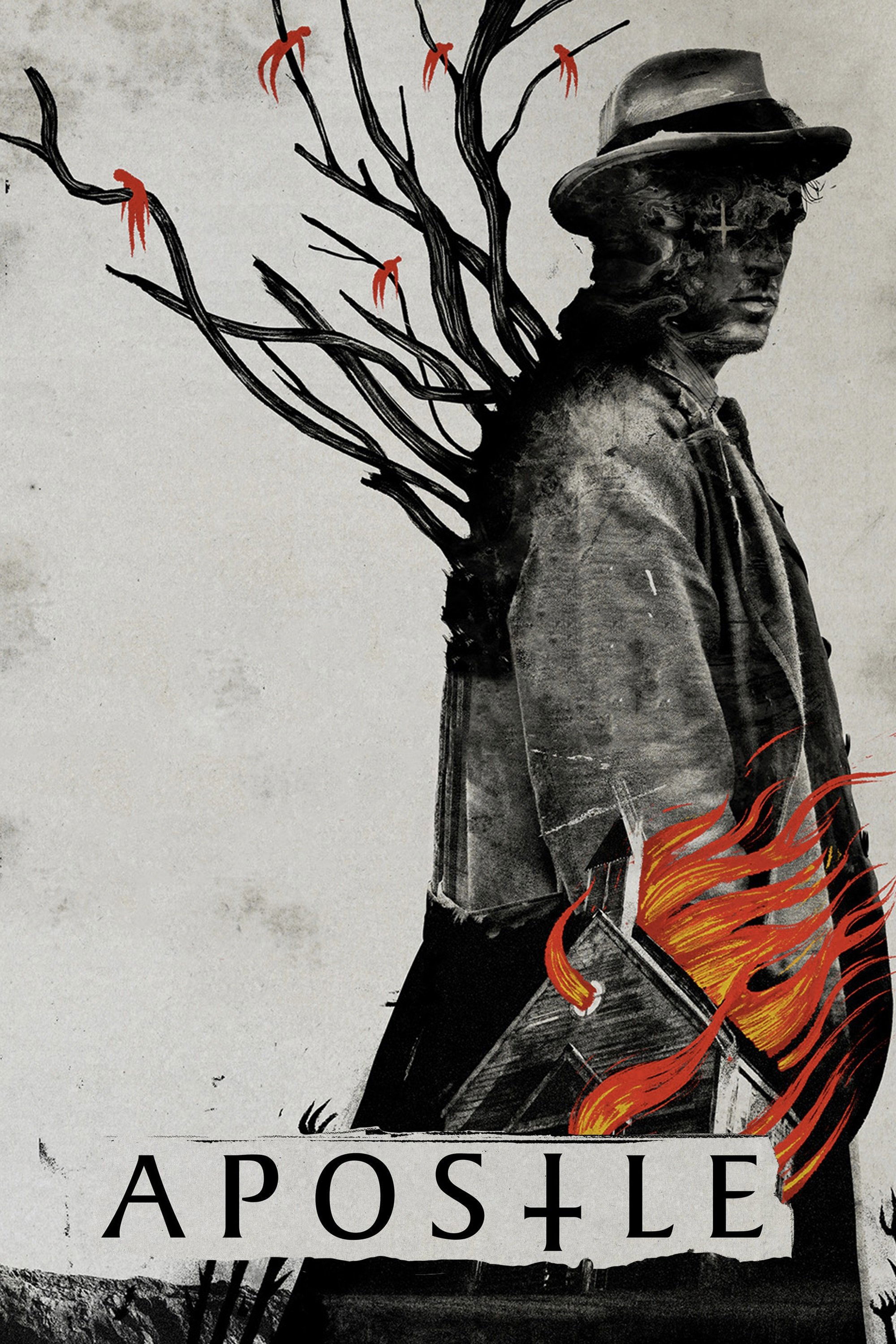 Apostle