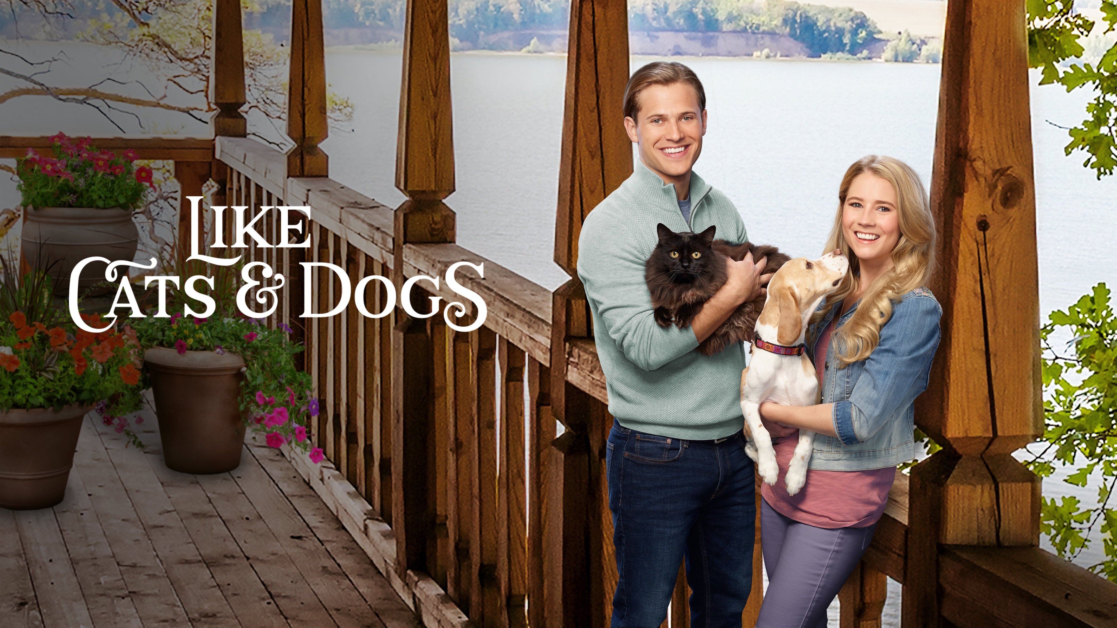 Like Cats & Dogs (2017)