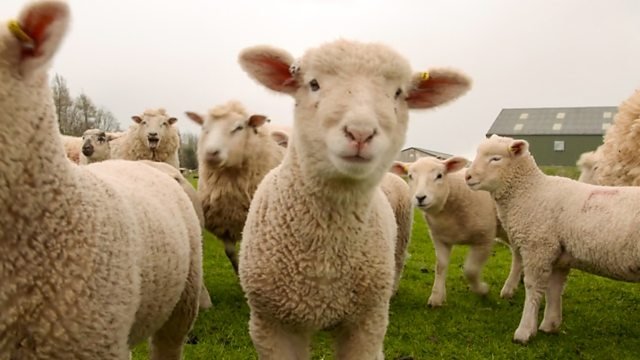 Countryfile 34x17