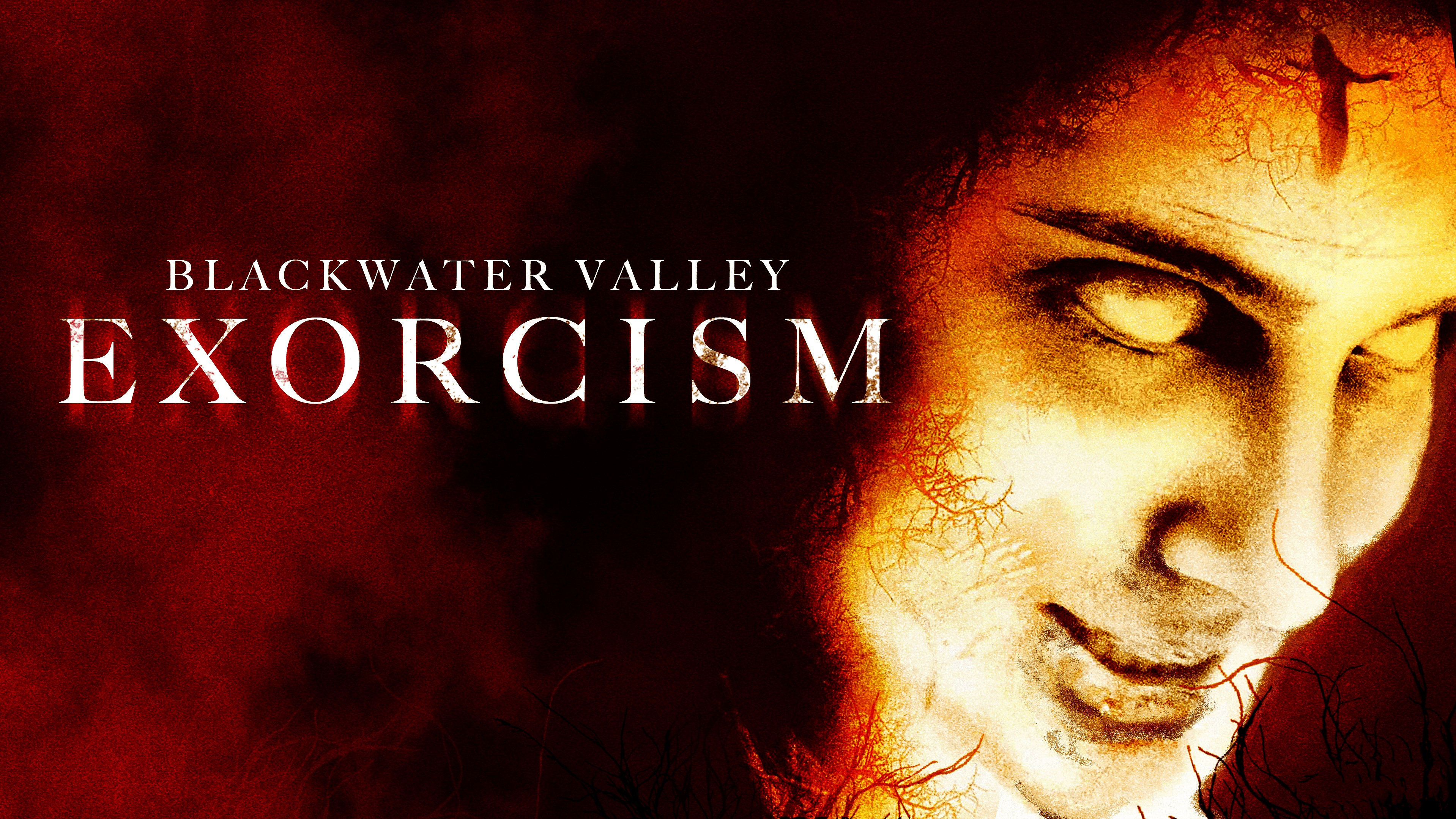 Blackwater Valley Exorcism (2006)