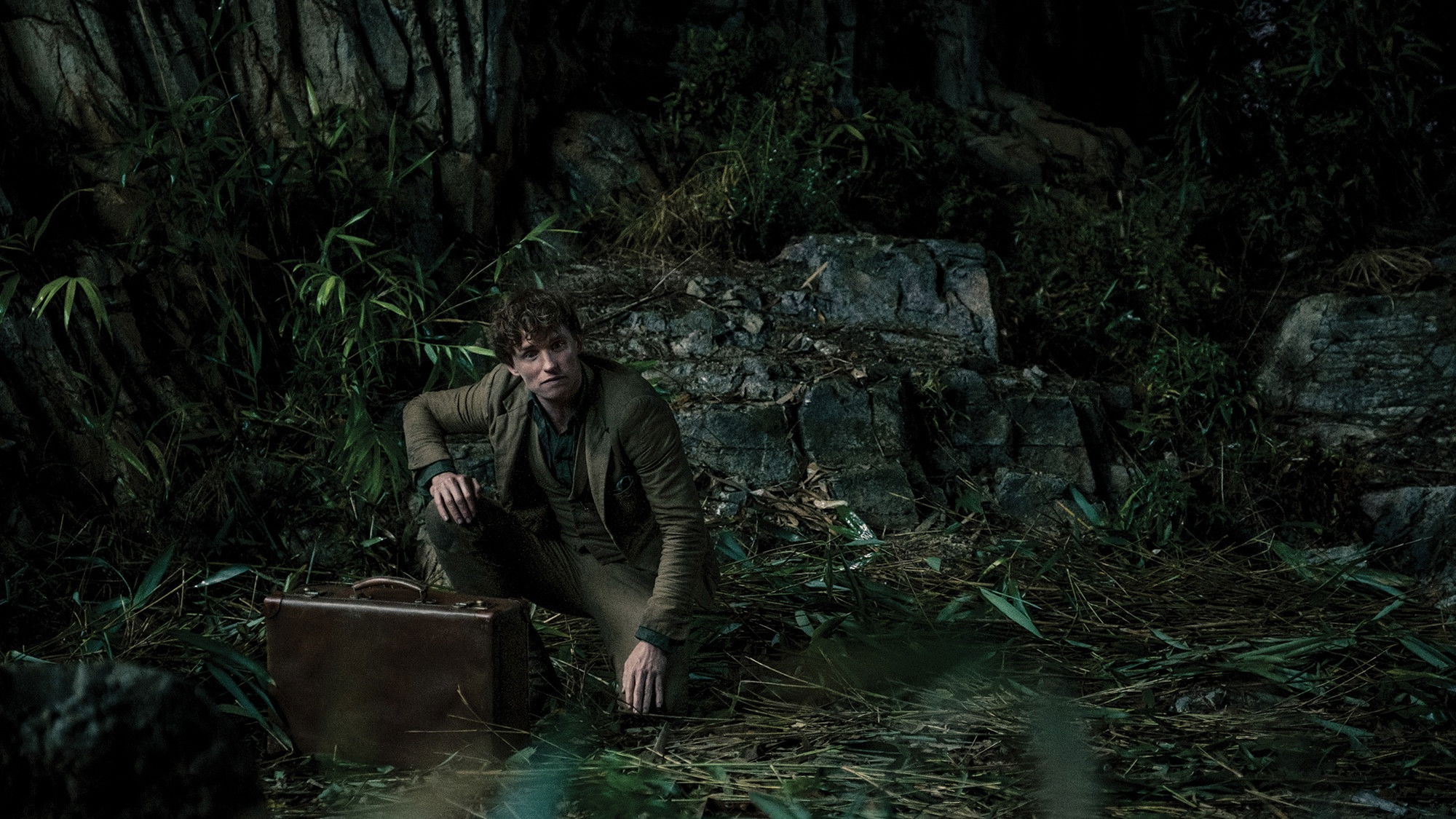 Fantastic Beasts: The Secrets of Dumbledore