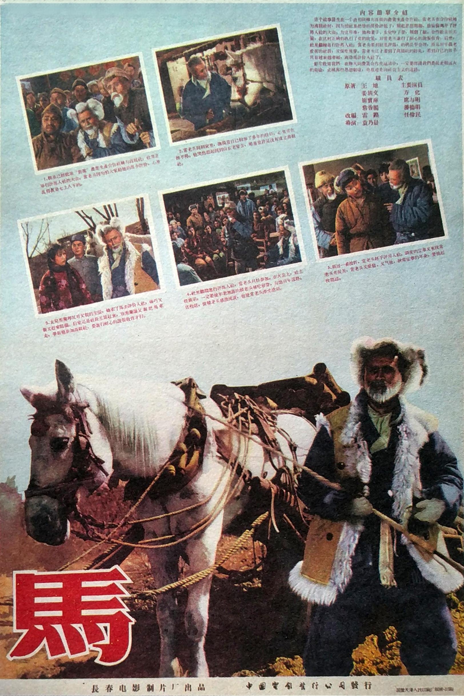 马 马