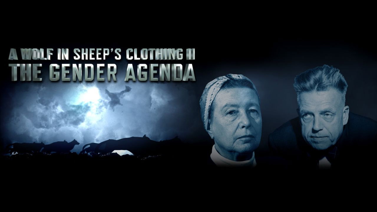 A WOLF IN SHEEP’S CLOTHING II - THE GENDER AGENDA