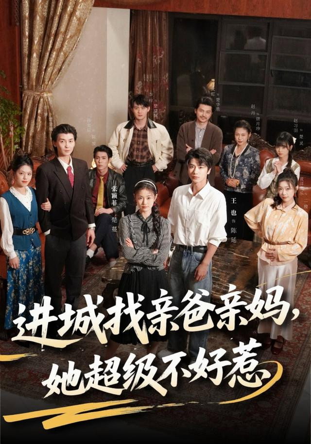 进城找亲爸亲妈，她超级不好惹 Poster