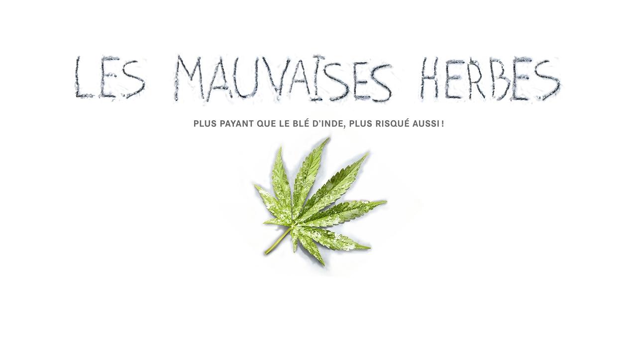 Les mauvaises herbes (2016)