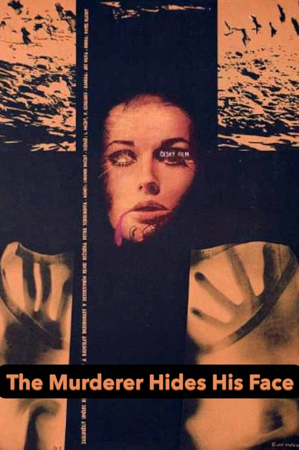 The Murderer Hides His Face Poster