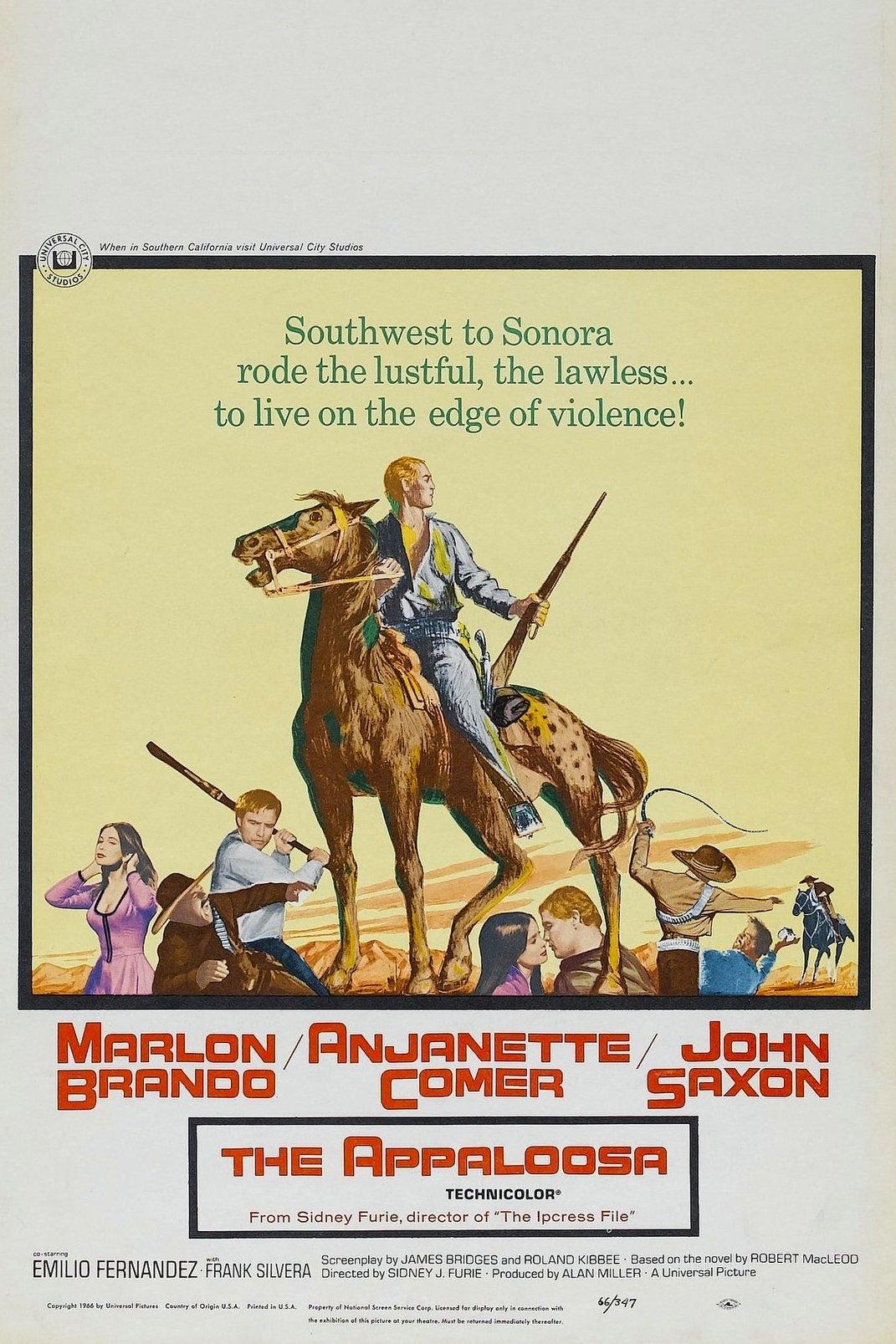 The Appaloosa