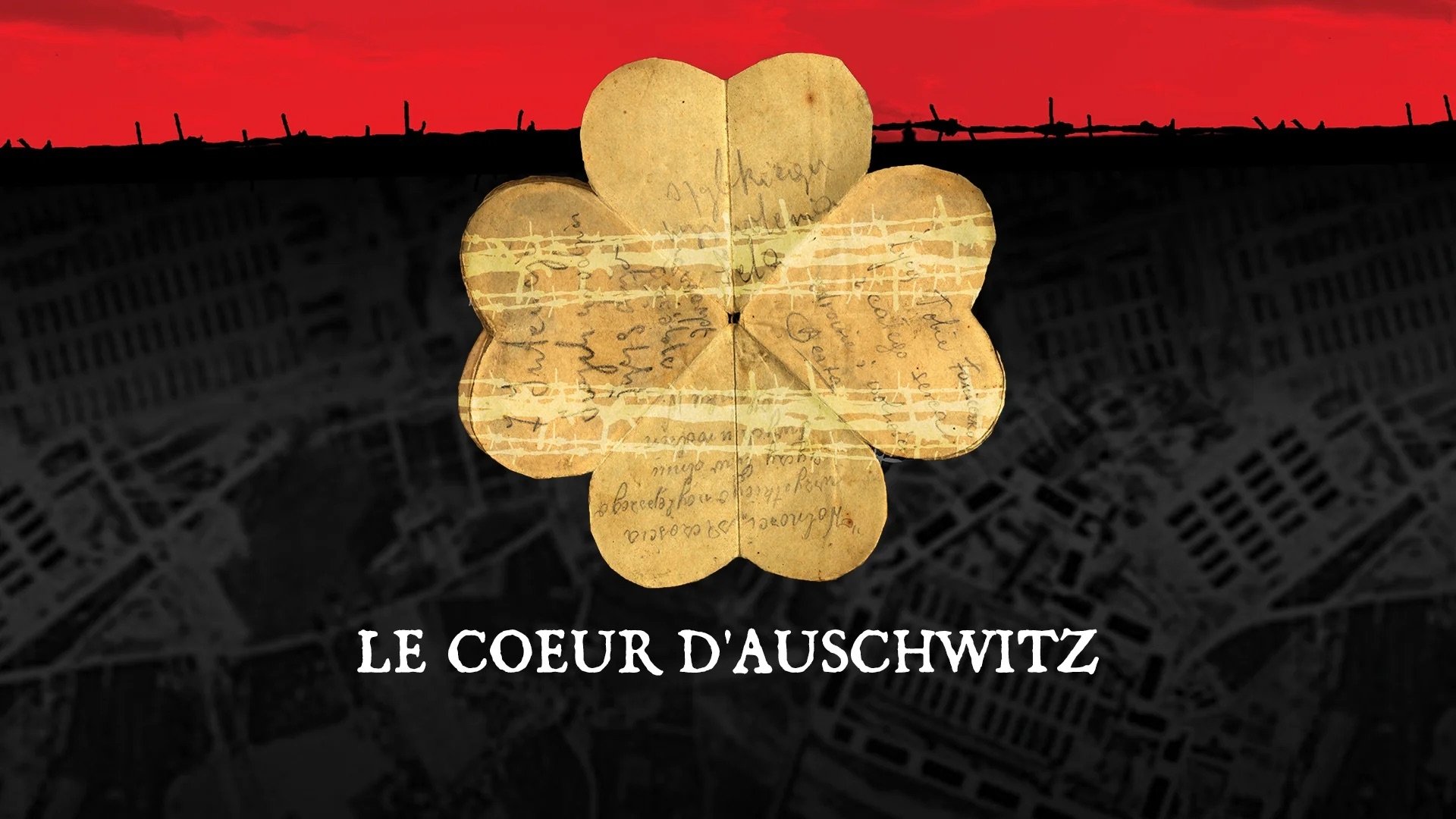 Imagem do Filme Le coeur d'Auschwitz